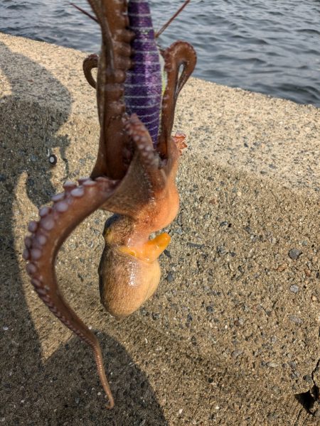 とうとう終盤…。