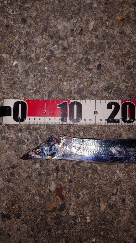 なんとかシーズン初