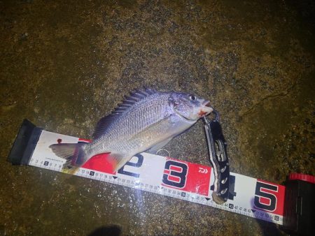 帰り間際にボウズ回避