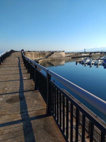 障泥5杯、甲1杯