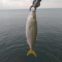 休日の越前海岸