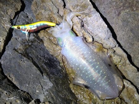 満月大潮後の中潮