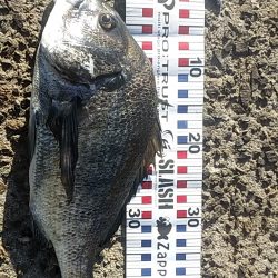 そろそろ終了？