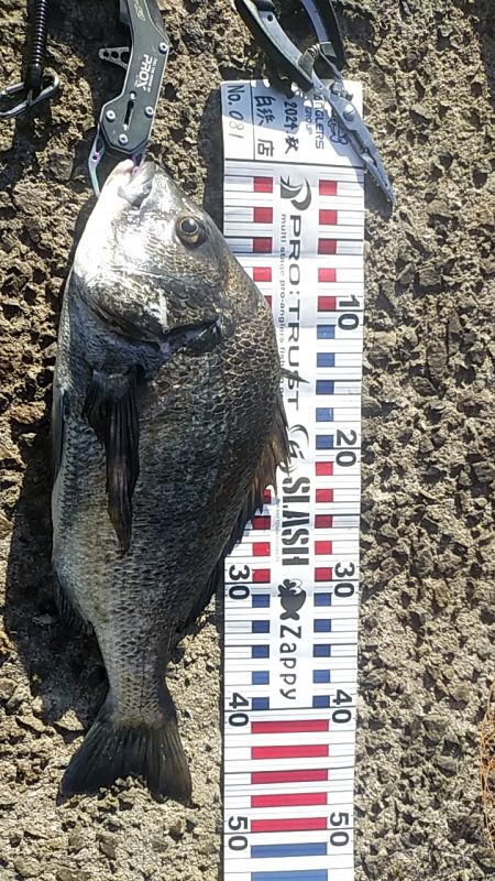 そろそろ終了？