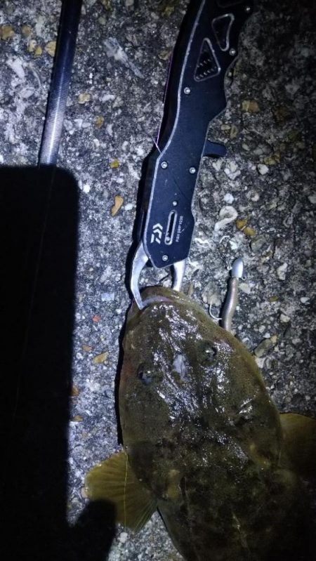 ニュータックルで良型マゴチゲット!