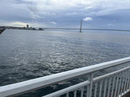 アジのサビキ釣り