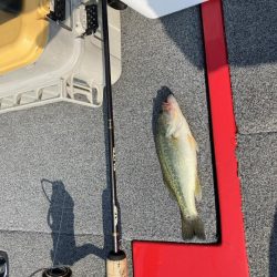 迷走台風後南湖