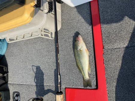 迷走台風後南湖