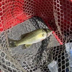 3連休最終日 秋バス