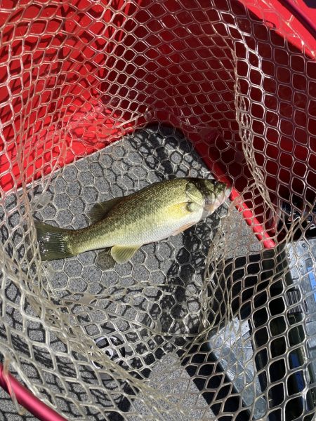 3連休最終日 秋バス