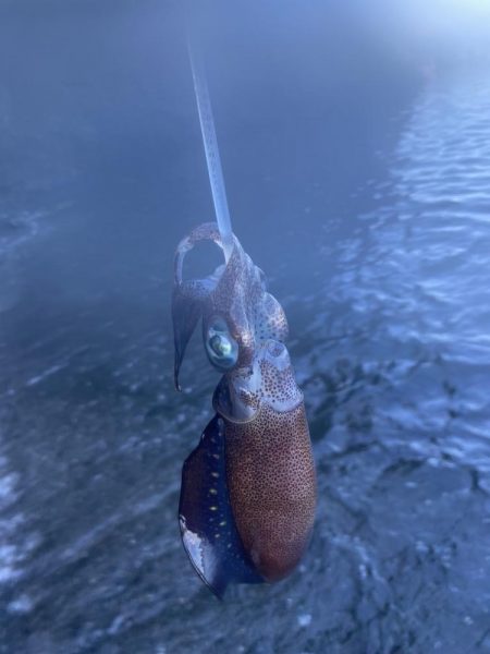 粘って疲れて二桁