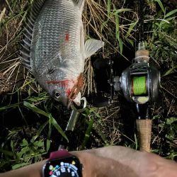 アーバンチニング⑥