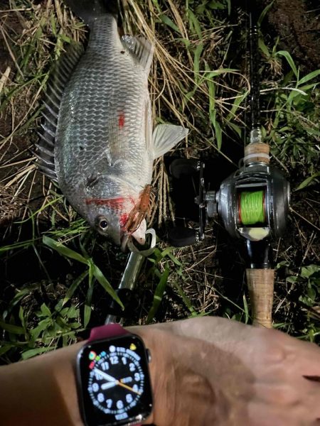 アーバンチニング⑥