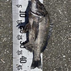 イチノ兄弟、釣果！