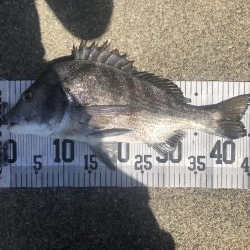 イチノ兄弟、釣果!