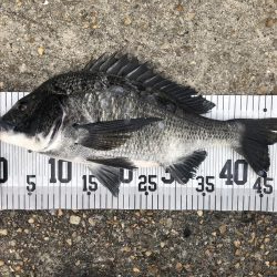 イチノ兄弟、釣果!