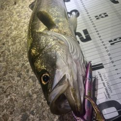 釣り仲間の初シーバス!