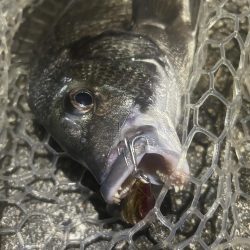 連休もコツコツと