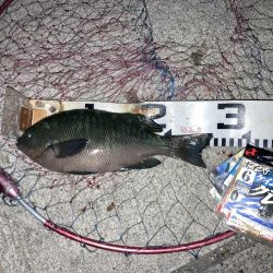 9ヶ月ぶりのご対面!