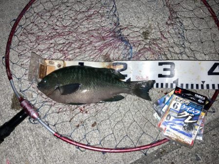 9ヶ月ぶりのご対面!