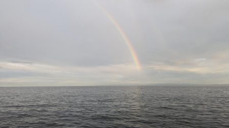 台風後渋い太刀魚
