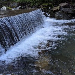 増水激流で反応鈍い