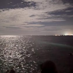 爆風の太刀魚釣り