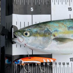 ミラクルツバス