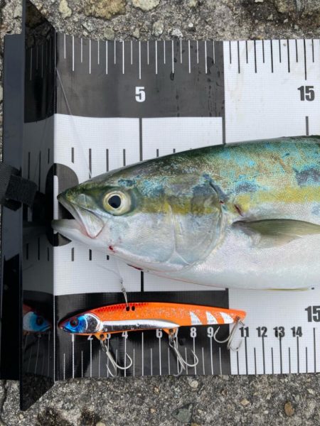 ミラクルツバス