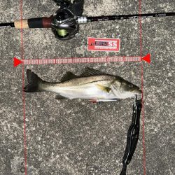 ゼッパー80sは釣り方選ばず釣れてしまう神ルアー！