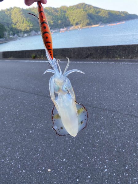 ランガンしてようやく