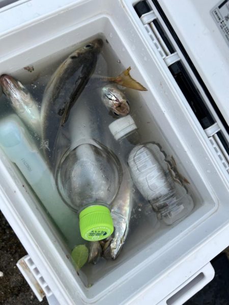 ⭐️変わらず高活性