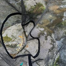 仕事終わりに滑り込み