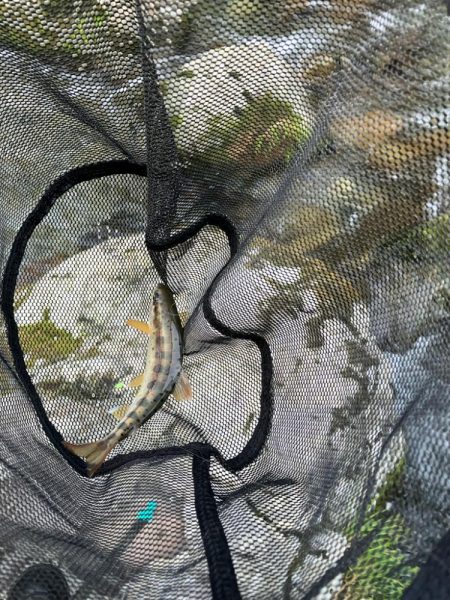 仕事終わりに滑り込み