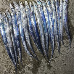 タチウオ釣り
