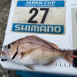 シロギスタ:激渋な週末