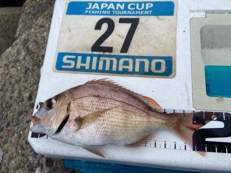 シロギスタ:激渋な週末