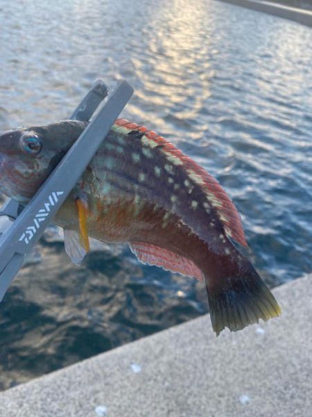 太陽が沈むまでは…