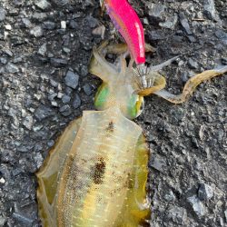 秋の恵みに感謝！