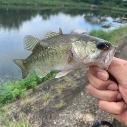 晴れてるので、バス釣り行った‼️