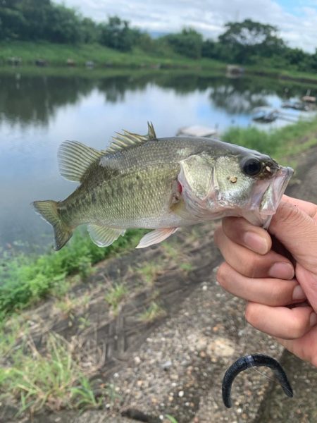 晴れてるので、バス釣り行った‼️
