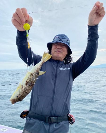 淡路室津のカットウフグ