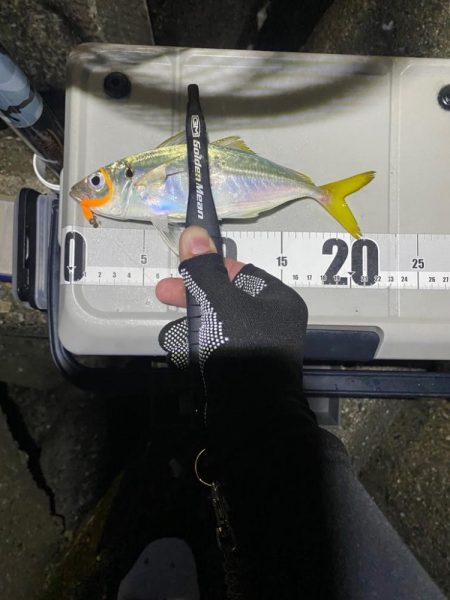 フロートアジング