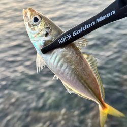 暑い熱いフロートゲーム