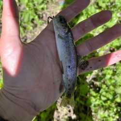 短時間の出会い