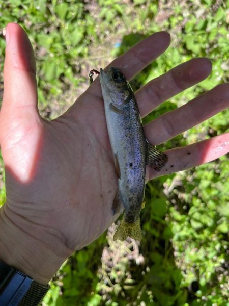 短時間の出会い