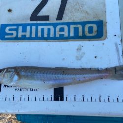 シロギスタ:ホワイト企業