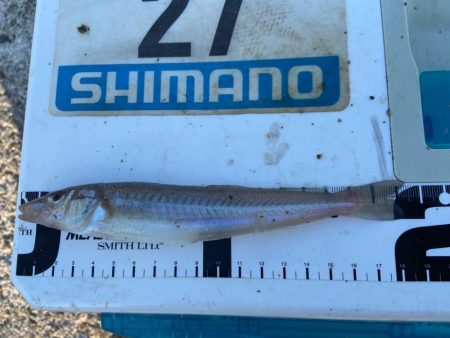 シロギスタ:ホワイト企業