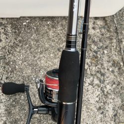 タチウオ爆釣!?