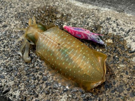 中途半端な時間で激渋だけとたまにポツポツと…